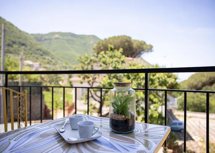 Tenuta Coppola *
